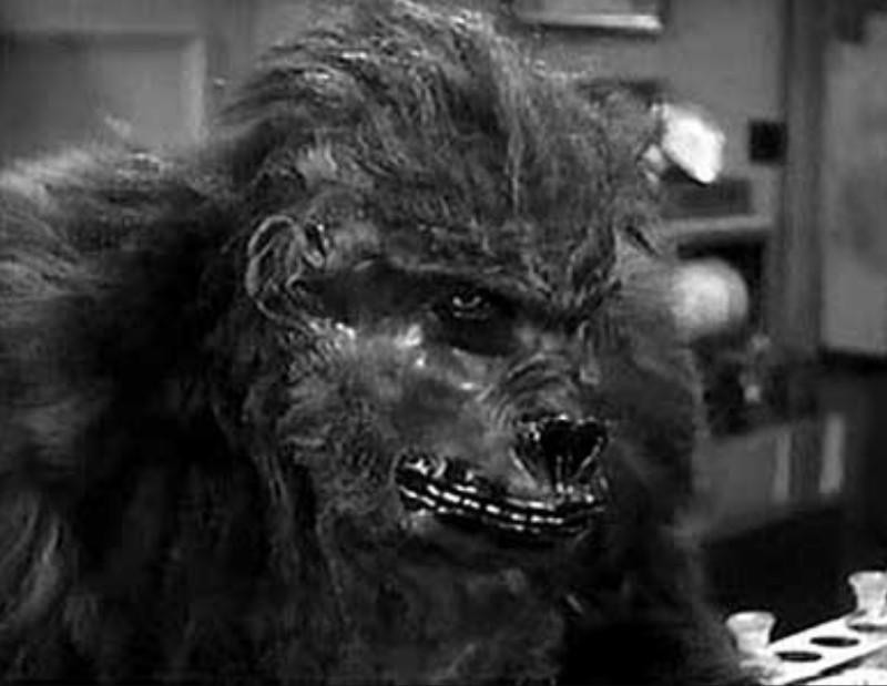 actor Steve Calvert large photo