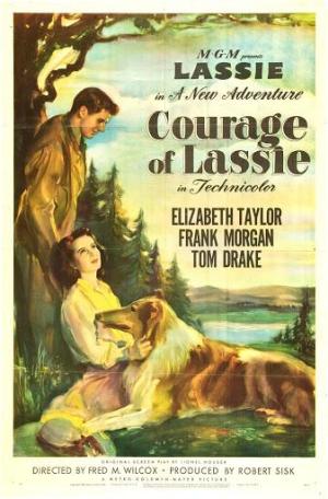 Courage of Lassie [Spanish]