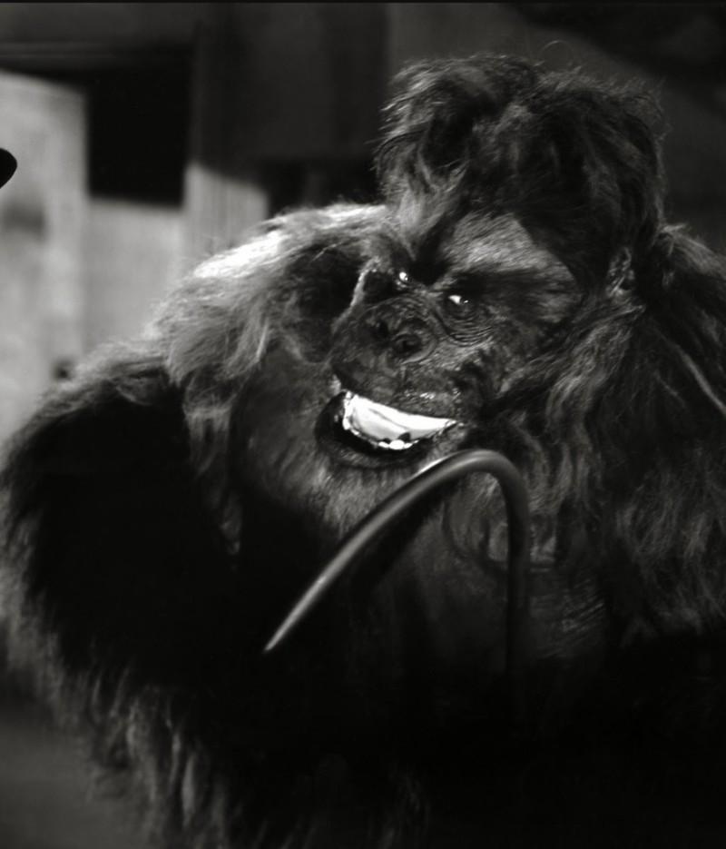 actor Art Miles large photo