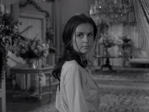 actor Diane Gentner large photo