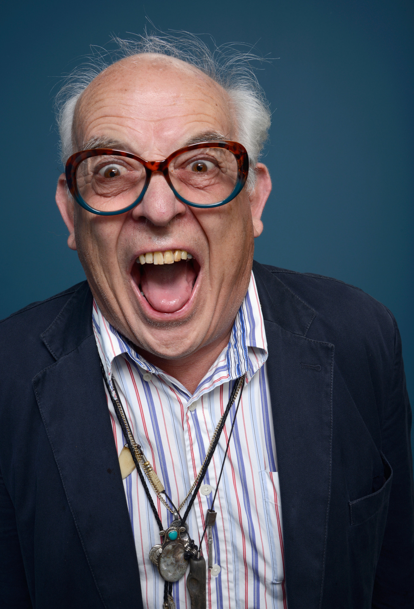 actor Ralph Steadman large photo