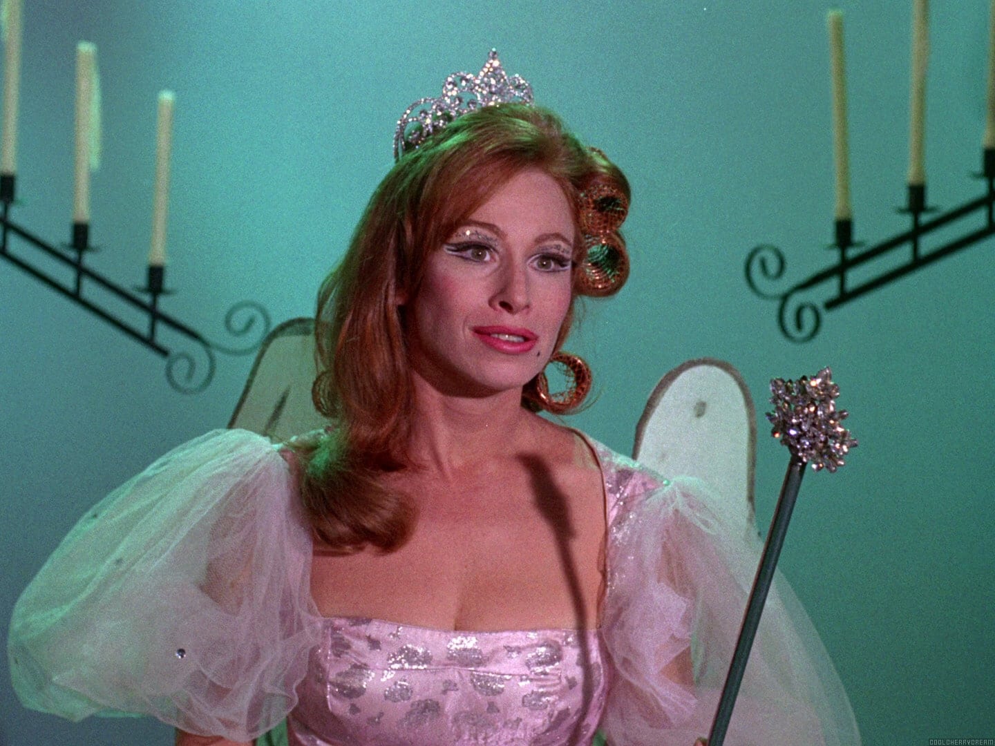 actor Diane Shalet large photo