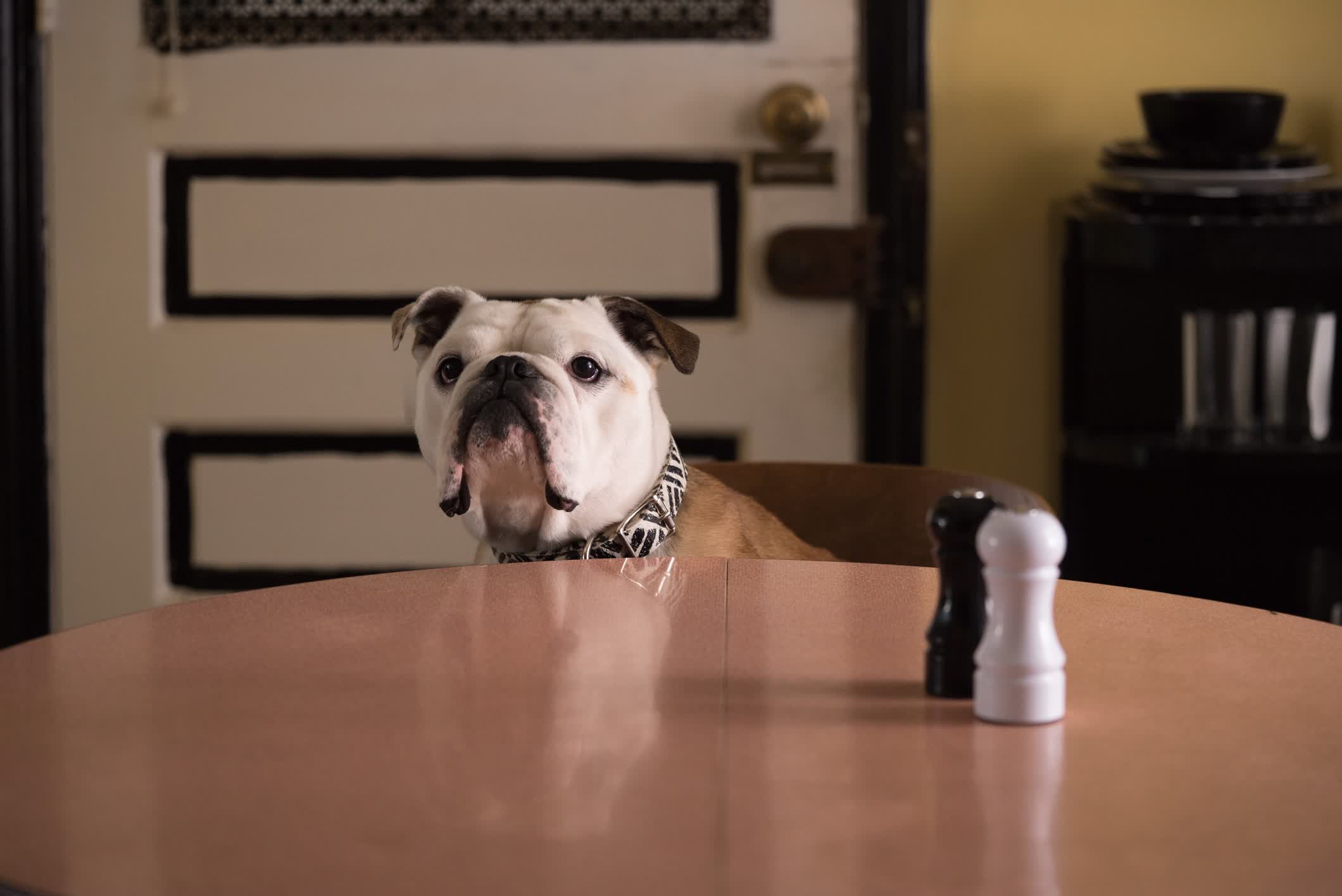 actor Nellie large photo