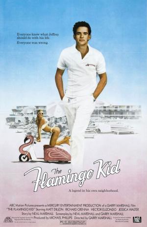 The Flamingo Kid [Russian]