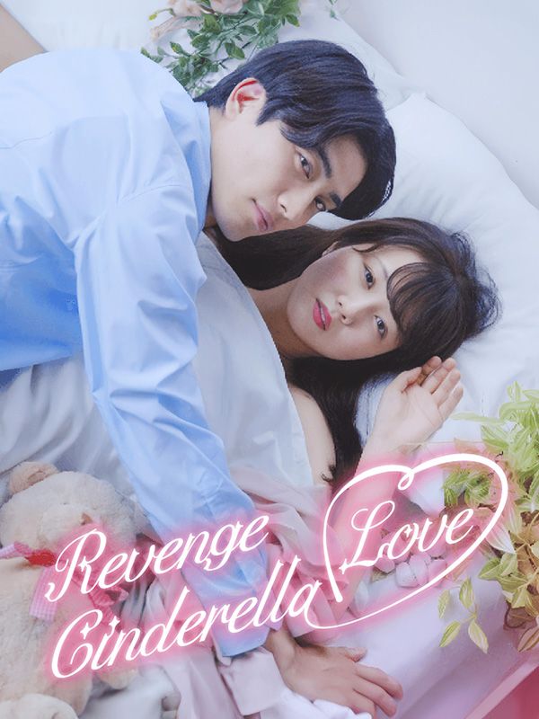Revenge Cinderella Love poster