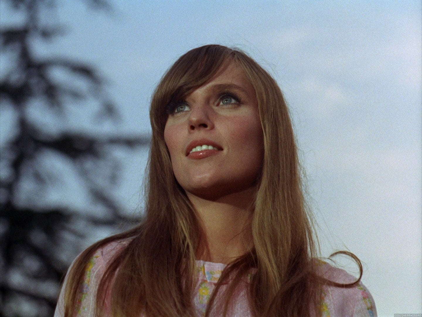 actor Lisa James large photo