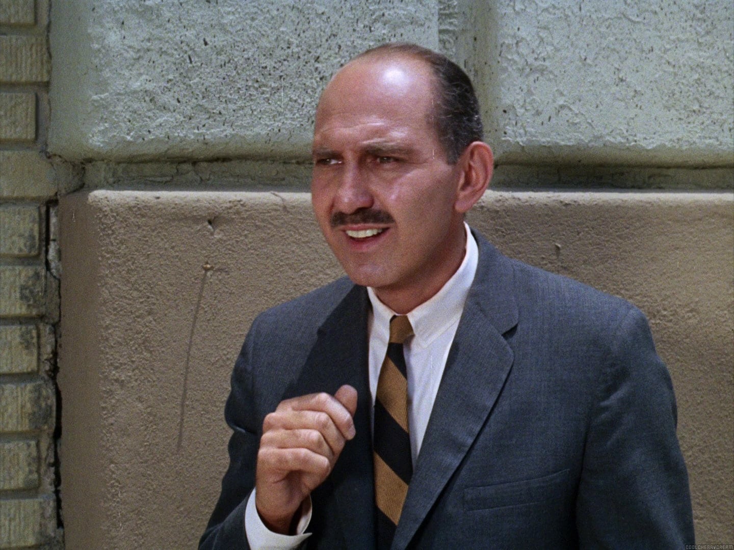 actor Irwin Charone large photo