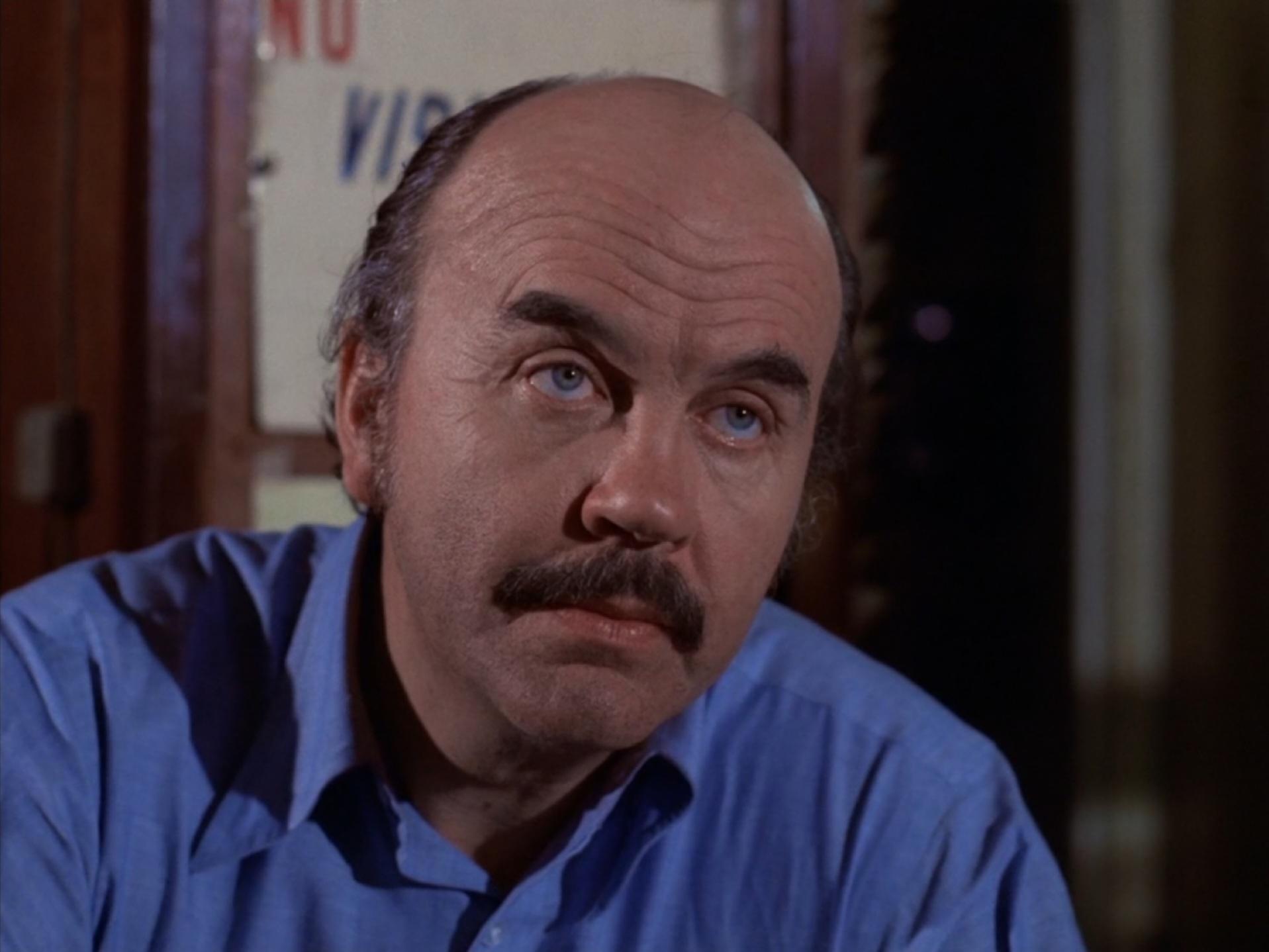 actor Robert Trebor large photo