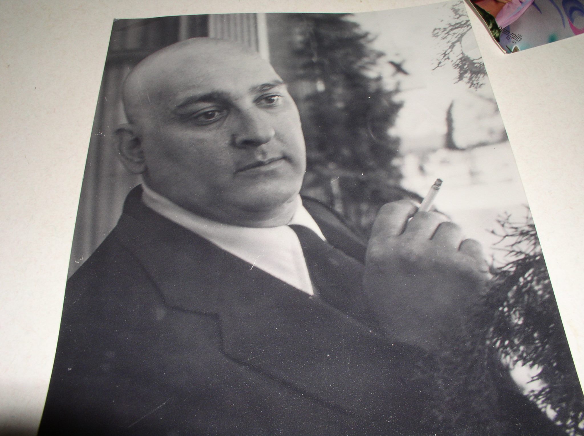 actor Vincent De Stefano large photo