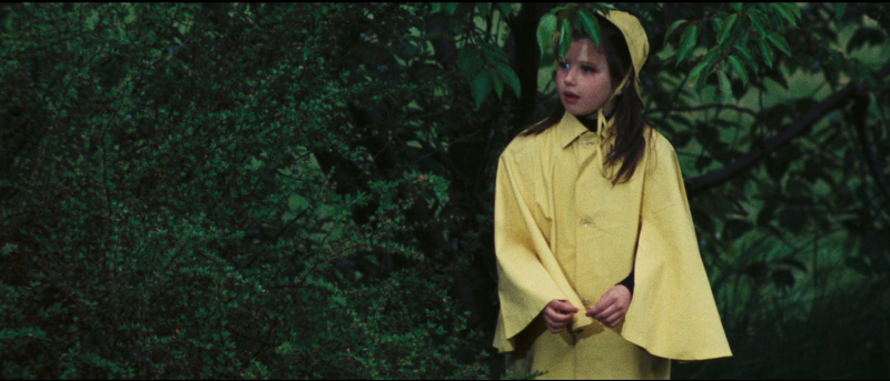 actor Federica Tessari large photo