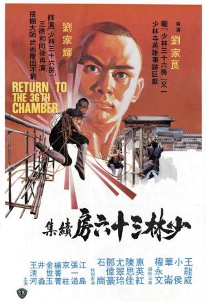 Return to the 36th Chamber [Spanish]