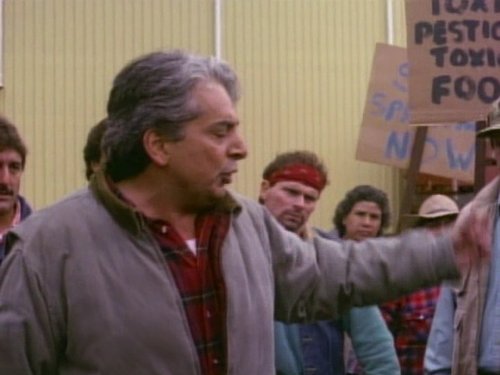 actor William Ontiveros large photo