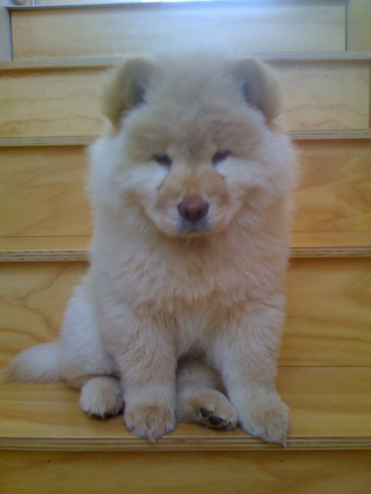 actor Justin Campbell large photo