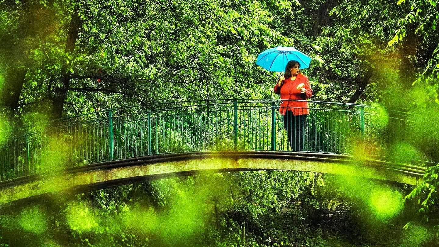 actor Tamara Popescu large photo