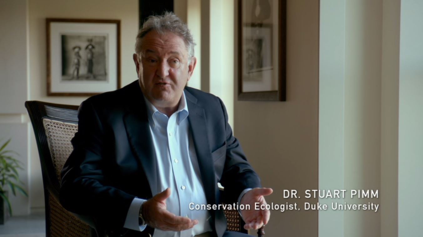 actor Stuart Pimm large photo