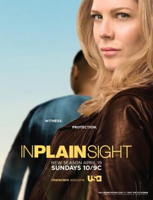 In Plain Sight [Spanish]