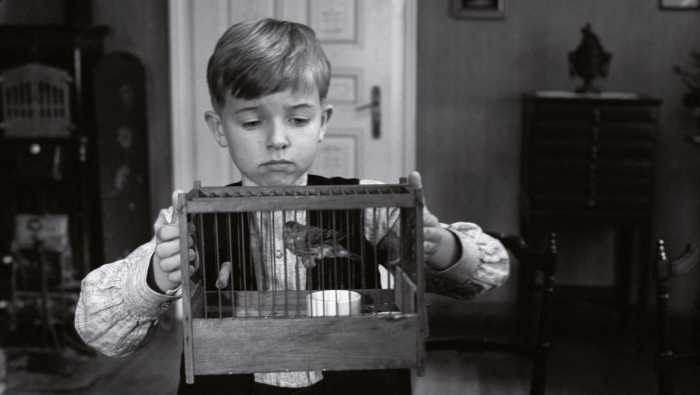 actor Thibault Sérié large photo