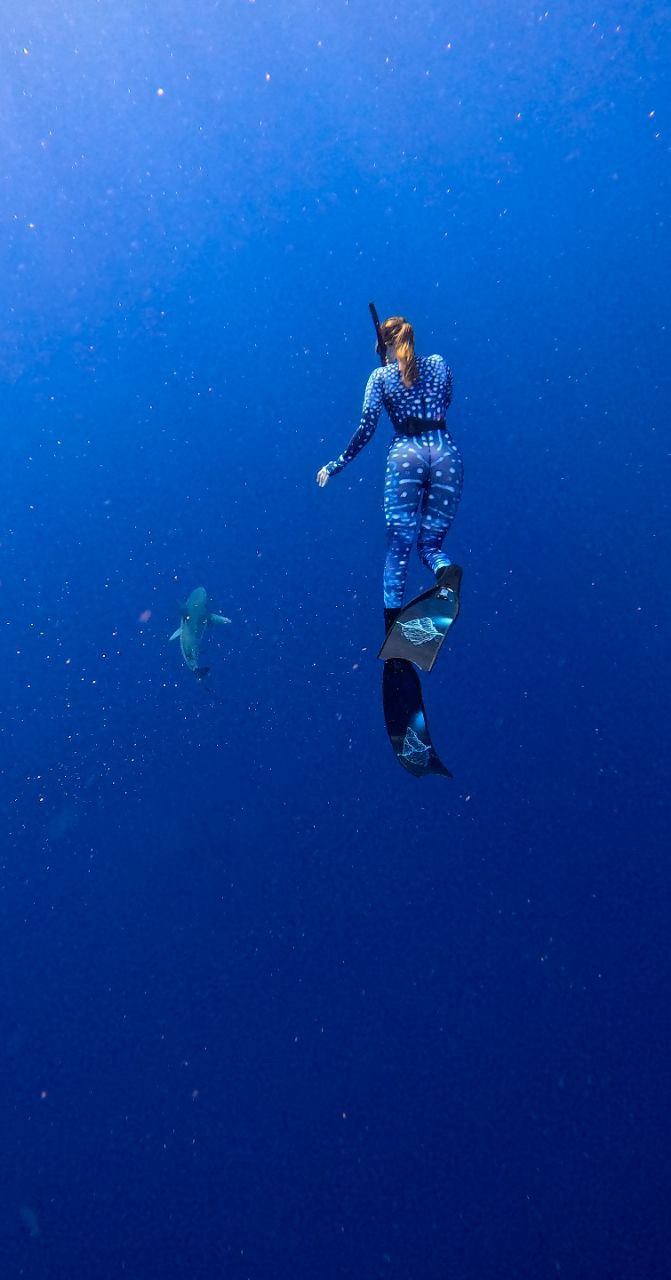 actor Melissa Kelly large photo