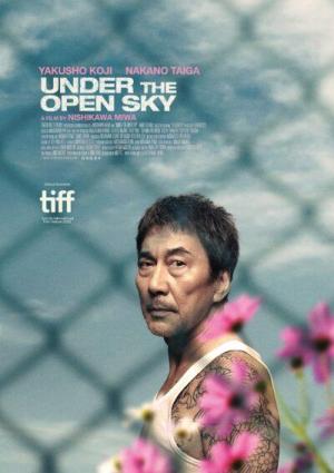 Under the Open Sky [Russian]