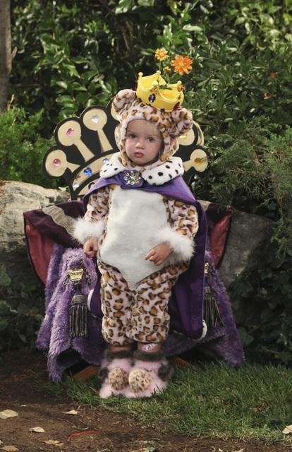 actor Mia Talerico large photo