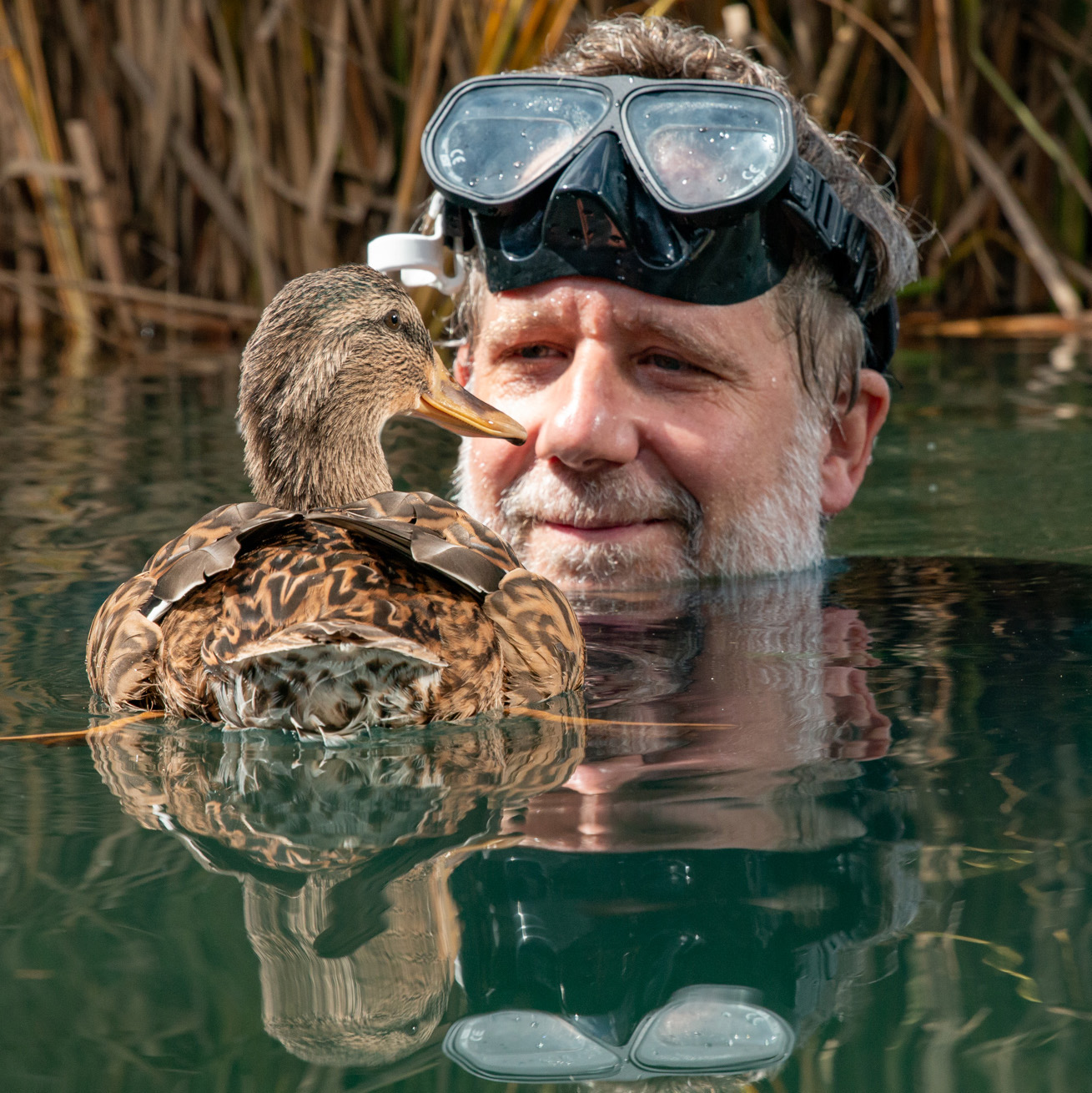 actor Andrew Young large photo