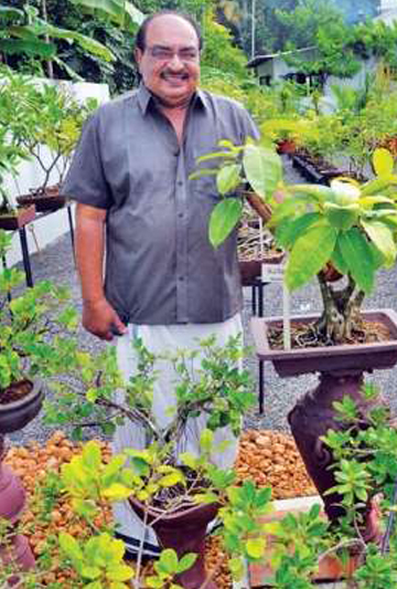 actor Majeed large photo