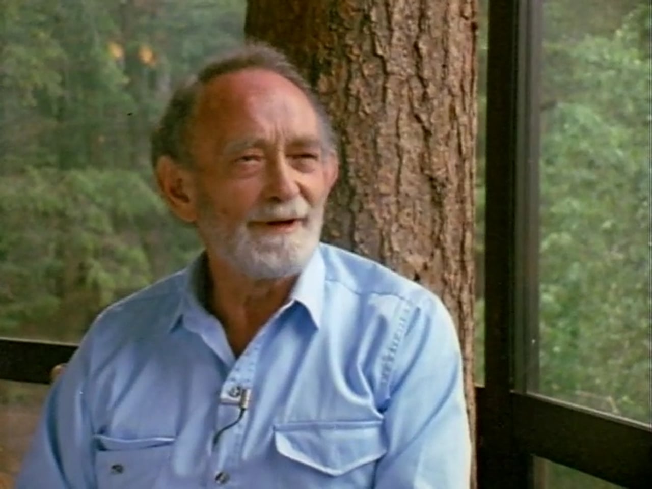 actor Waldo Salt large photo