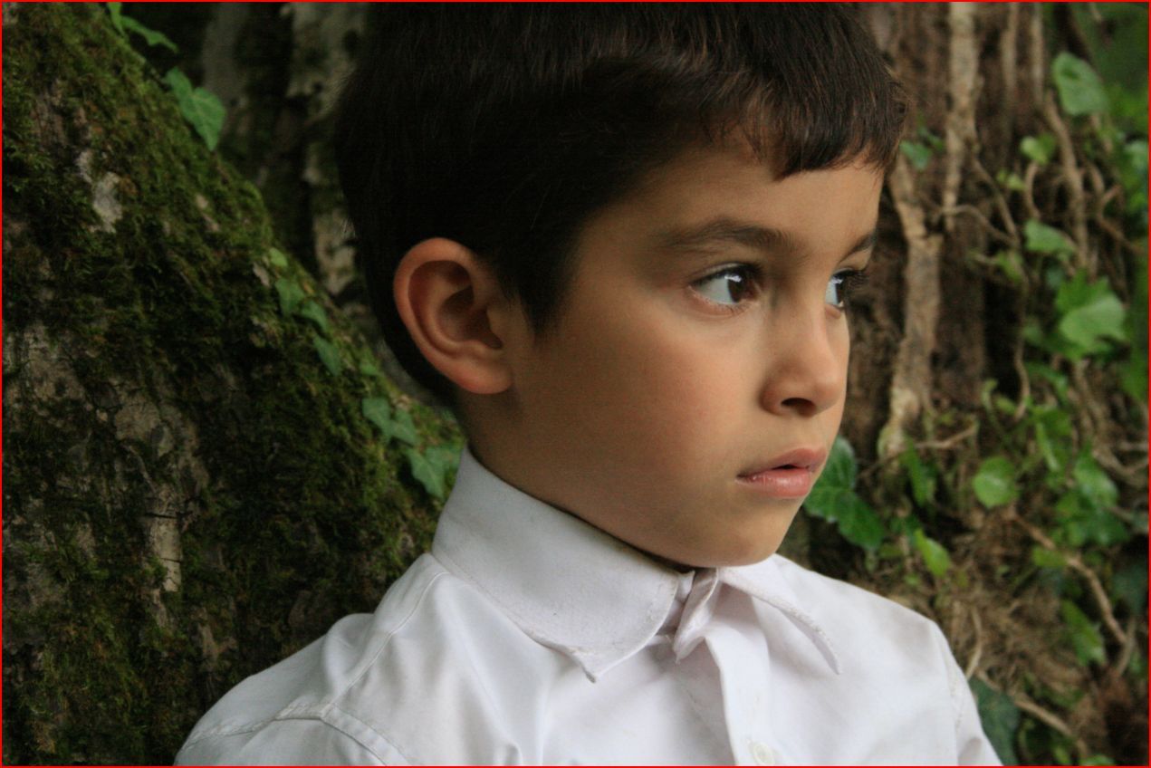 actor Bora Altas large photo