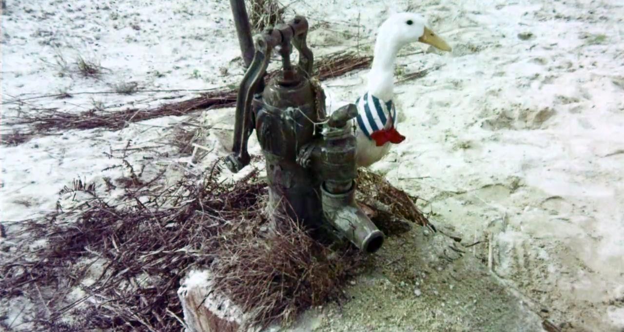 actor Mr. Quack-Quack large photo