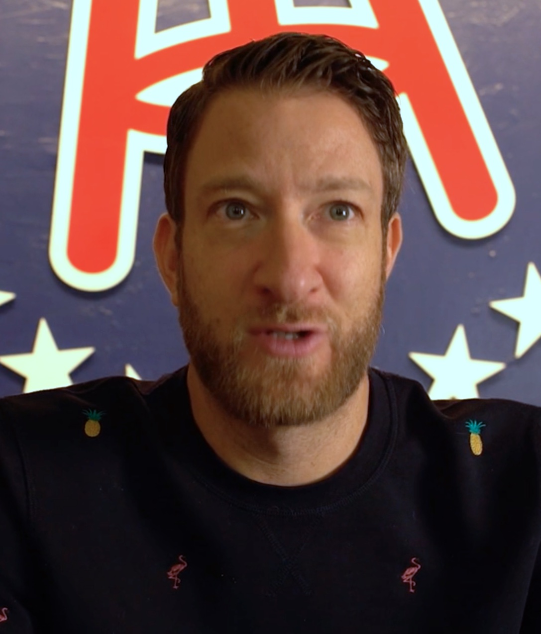 actor Dave Portnoy large photo