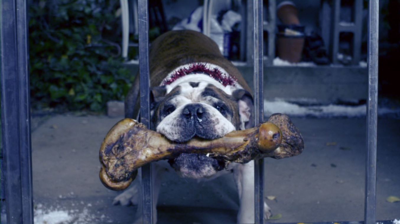 actor Hitchcock large photo