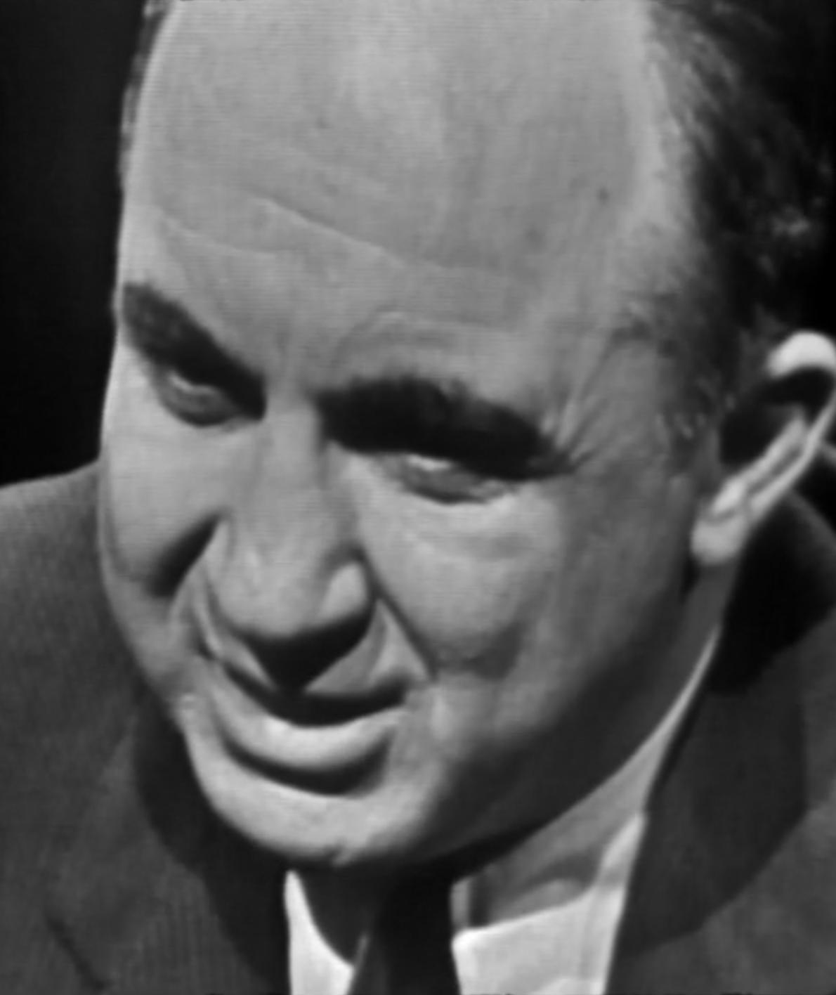 actor Mickey Cohen large photo