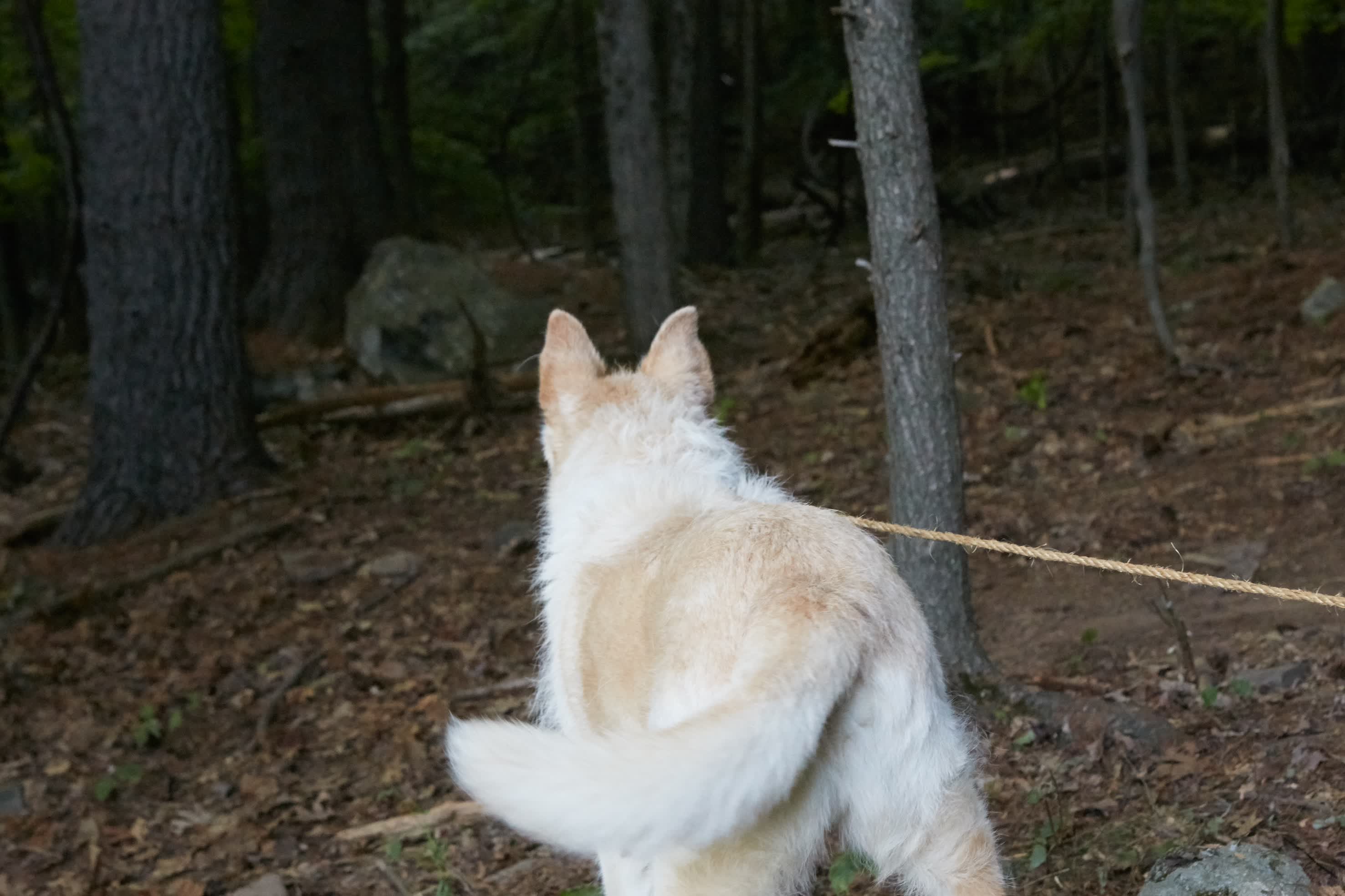 actor Mikey large photo