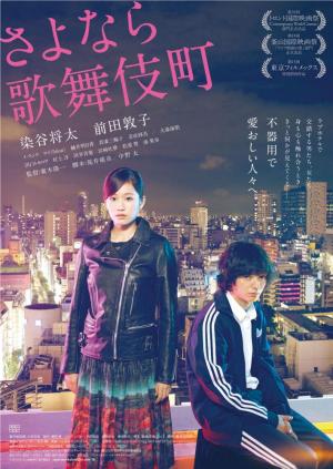 Kabukicho Love Hotel
