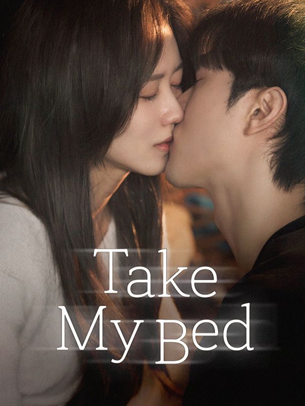 Take My Bed poster