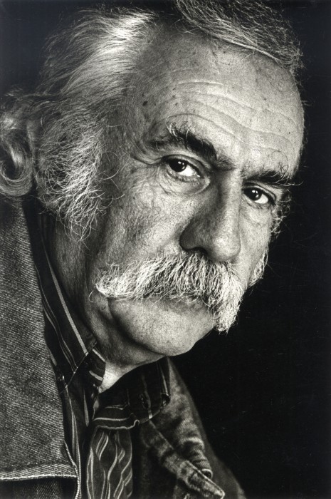 actor Zivojin Pavlovic large photo