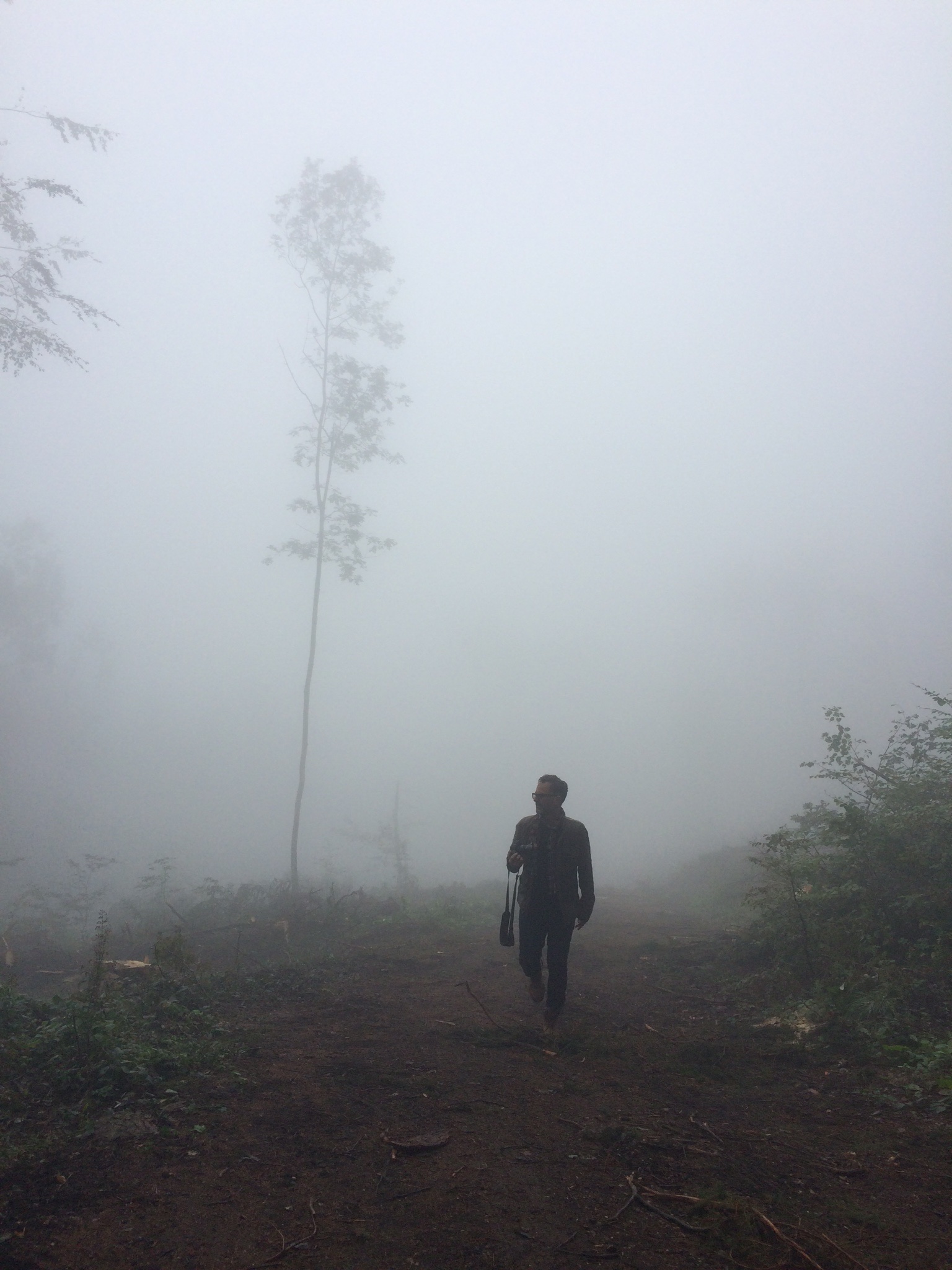 actor Andrew Laws large photo