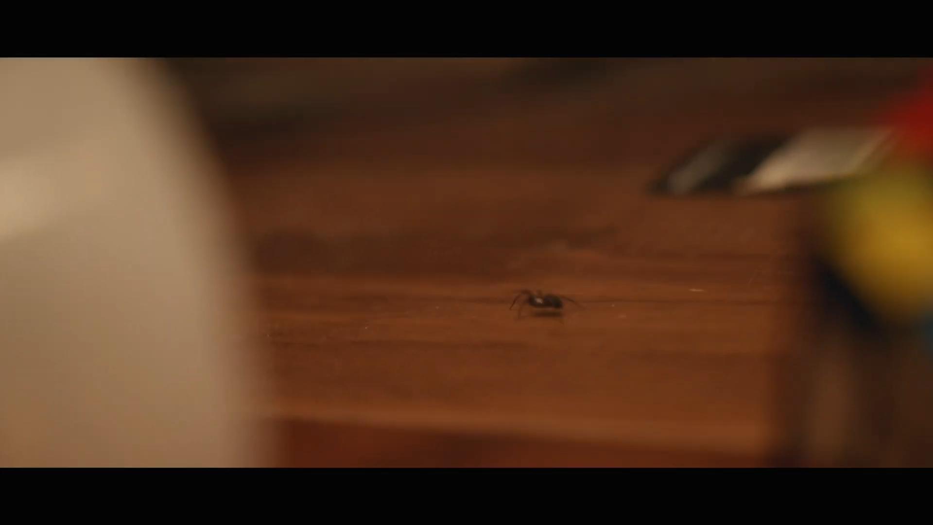 actor David The Spider large photo