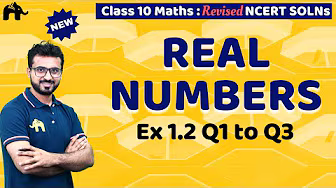 Class 10 Maths Revised NCERT Solutions Learnohub