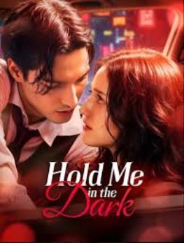 hold me in the dark poster
