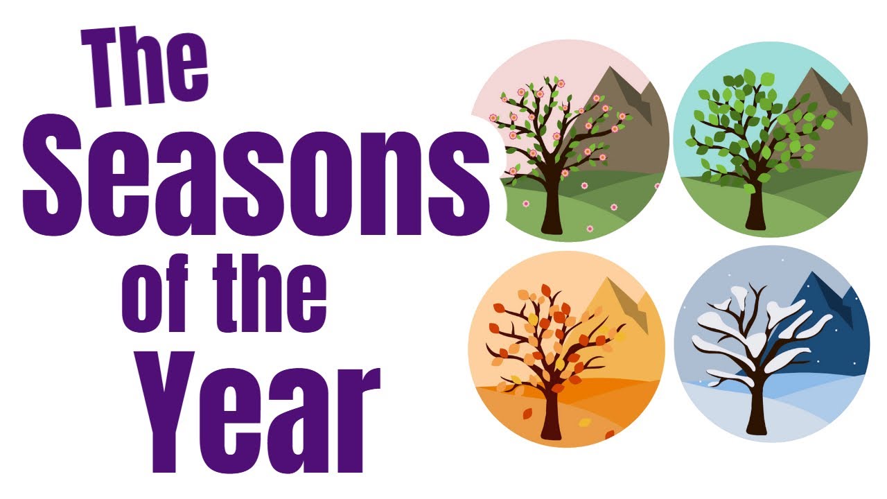 πβοΈπΈβοΈ The Four Seasons: A Year of Fun!