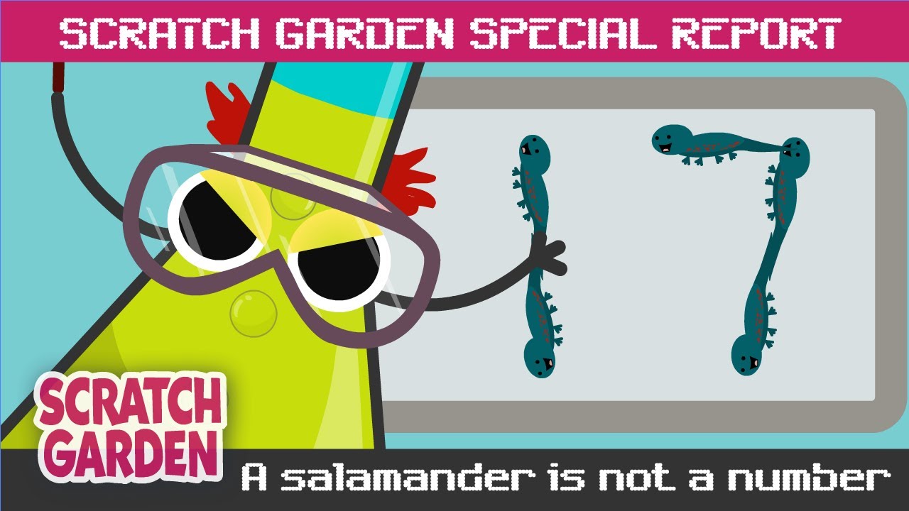 Special Reports! | Scratch Garden