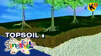 Soil Erosion | Sineskwela
