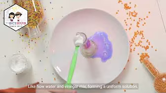 GRADE 6 SCIENCE: What is Solubility?