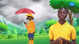 The Weather