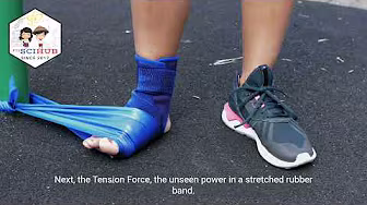 GRADE 8 PHYSICS: Contact Force and Their Examples