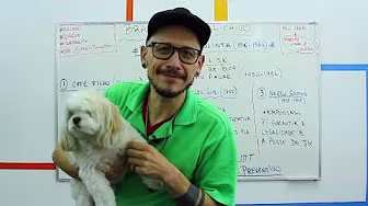 History - Populist Liberal Republic: Between Vargas and JK (1954-1956)