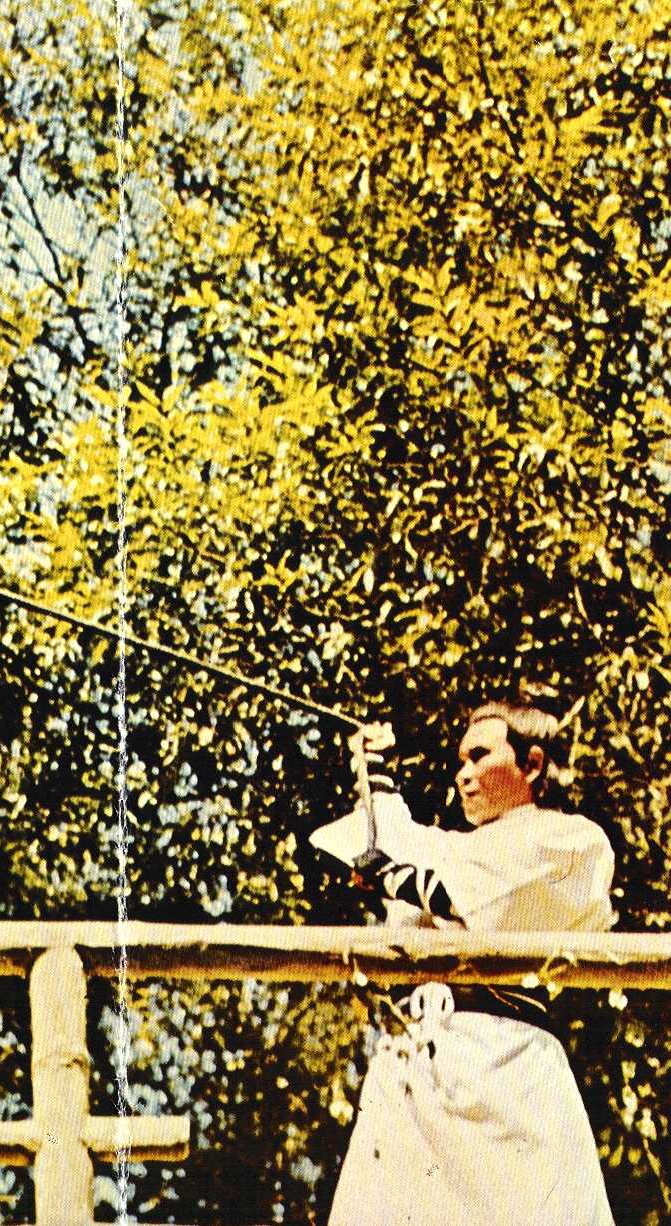 actor Pin Lo large photo