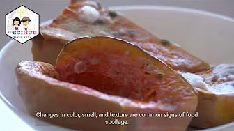 GRADE 4 - SCIENCE: Signs of Food Spoilage