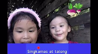 Nipa Hut | Vegetables in Filipino